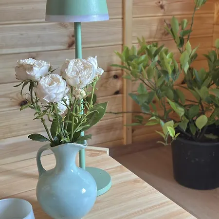 Bionestlein Gartenhaus Mit Biosauna Camping Löffingen