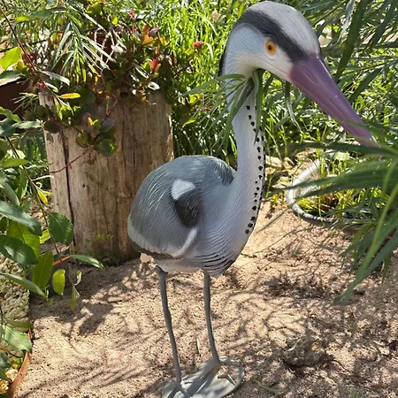 Bio-nestlein Gartenhaus * Löffingen