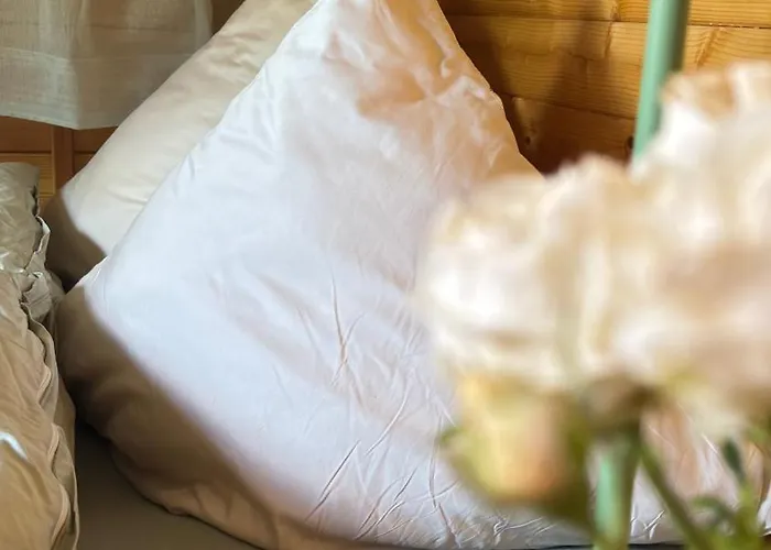 Bionestlein Gartenhaus Mit Biosauna לופינגן