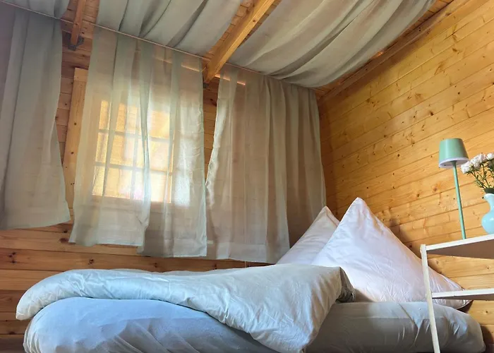 Bionestlein Gartenhaus Mit Biosauna Camping Löffingen