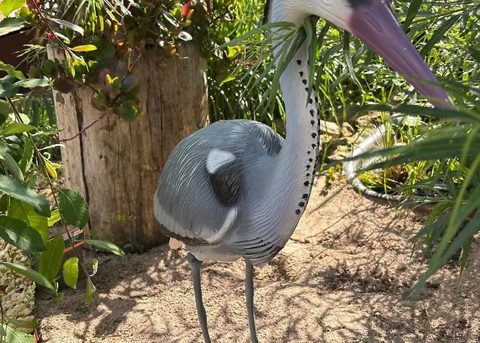Bionestlein Gartenhaus Mit Biosauna * Löffingen